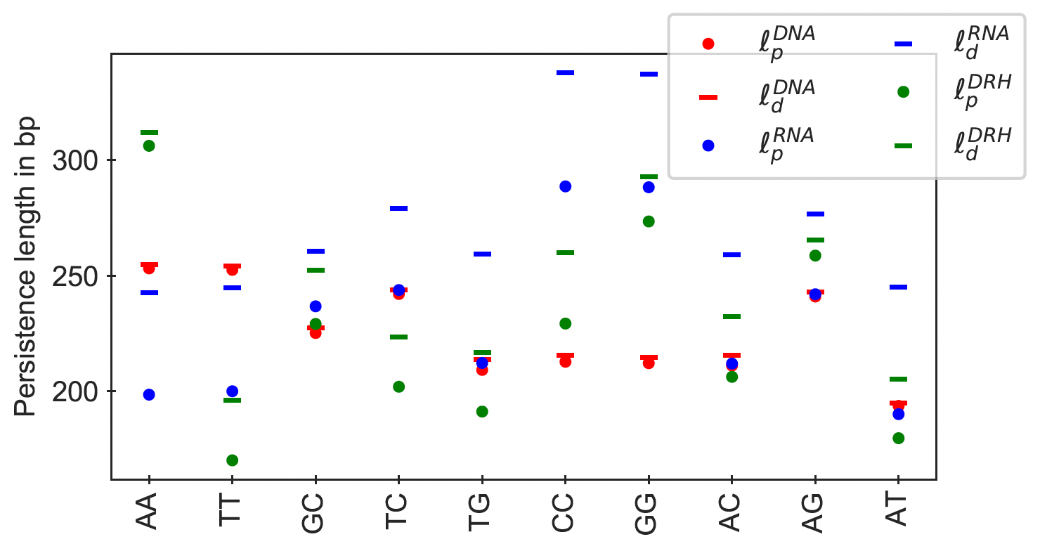 Compare cgNA+ predictions with MD